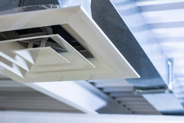 Best Local Air Duct Cleaning Services  in Wabasso, FL