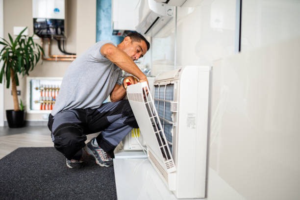 Best Professional Duct Cleaning Services  in Wabasso, FL