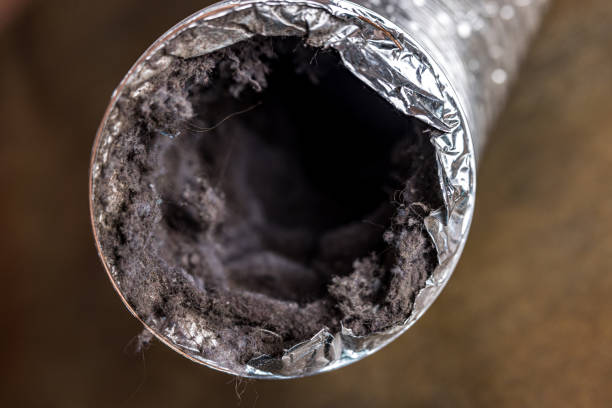 Best HVAC Duct Inspection Services  in Wabasso, FL